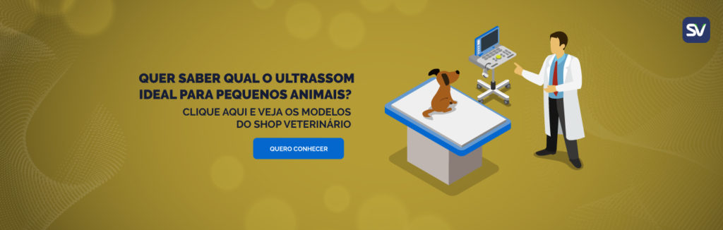 ultrassom veterinário para pequenos animais